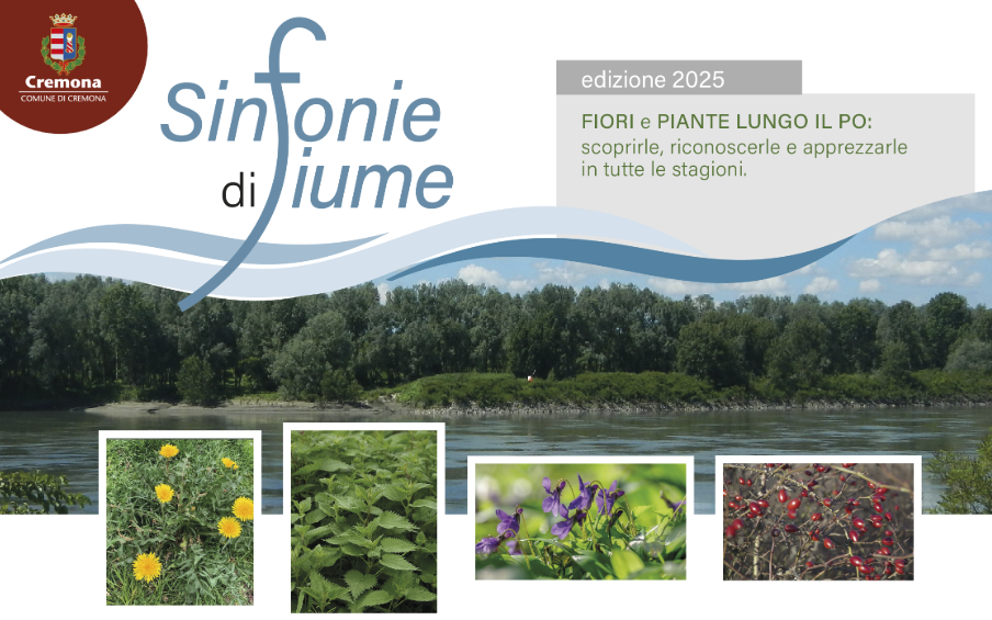 Cremonaoggi – 26/07/2025